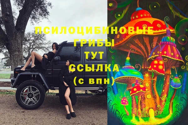 apvp Балахна