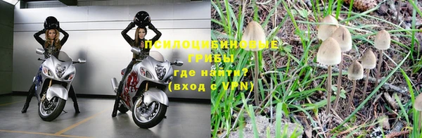 apvp Балахна