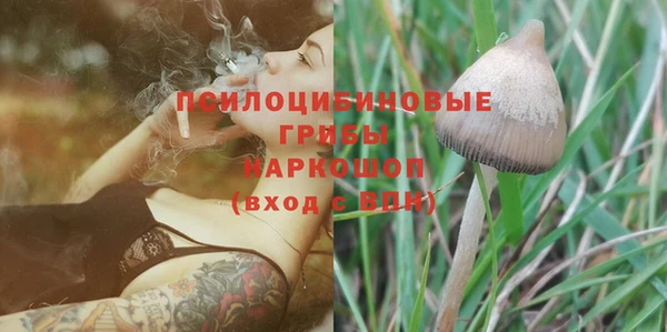 каннабис Баксан