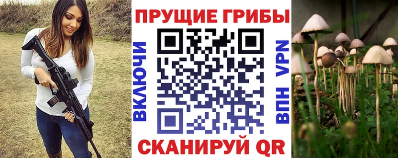 где можно купить наркотик  Белинский  Галлюциногенные грибы Psilocybe 